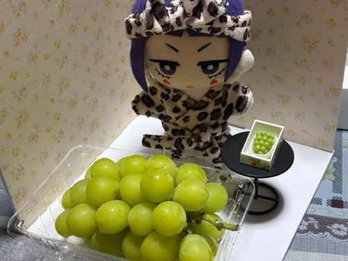 🎸「しゃいんますかっと！はじめてたべたよ🍇
ぬしのおしたちが、たべてたのみて、かったらしいけど、ぬし、ますかっとあじのおかしにがてだよね…？
ま、まあ、けっこうおいしかったしけっかおーらい！だね😉」