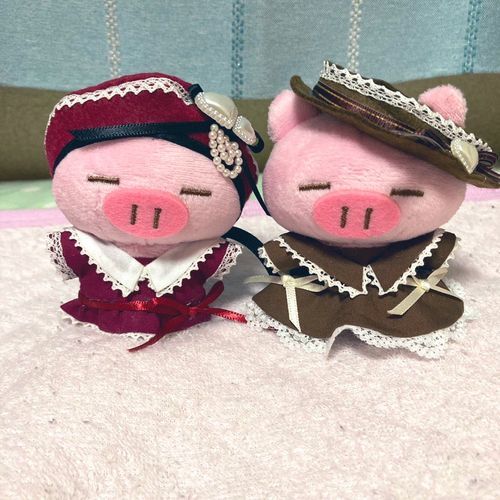 始めまして！
ブタが好きでぶたたのぬい撮りをポストします！