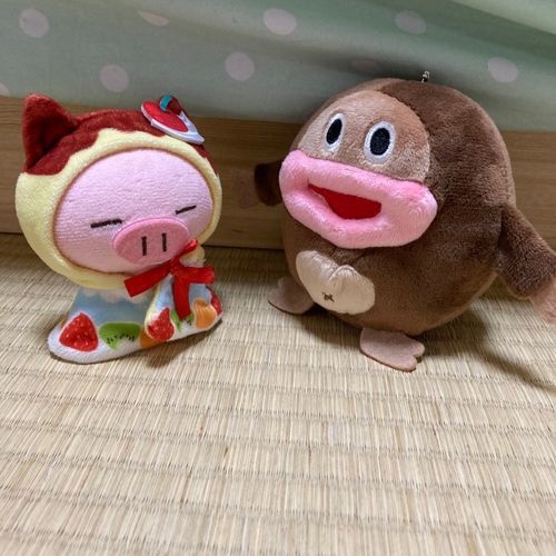 チョコジローとの出会い