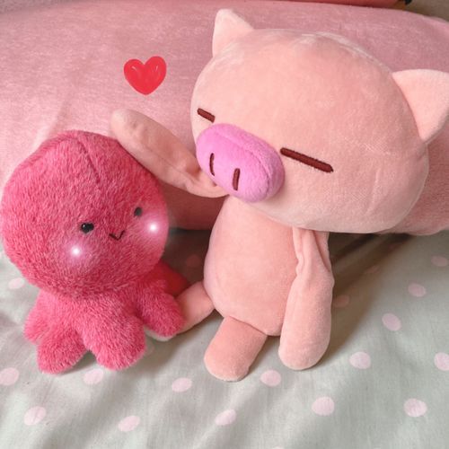 タコさんなでなで🐙🐷