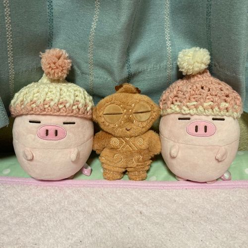 同じ目
