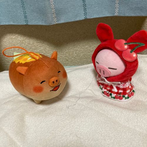 新しいお友達のコッペぶぅ🐷🥐