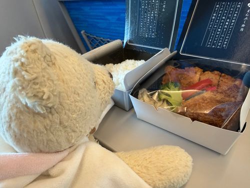 ひさしぶりのおでかけしてきたよ！
おべんとうおいしそうだね～