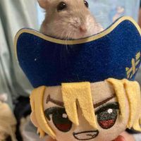 ちびりゅ