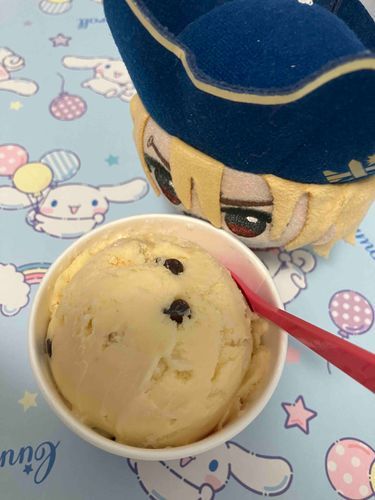 チョコチップクッキーファン！