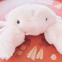 ふわふわのカニ