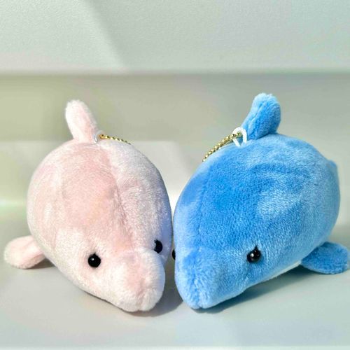 🐬