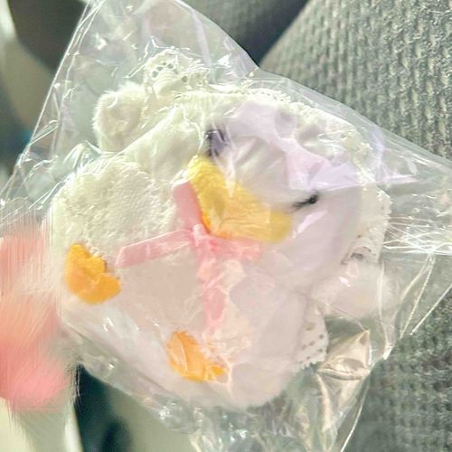 🪿💭⋆꙳
どうちてせまいところいれたのっ