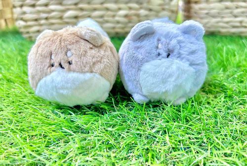 かわいい こ カプセル から さらって きた って かいぬし どやがお して た 。
ぶらっしんぐ と もみもみ で せいけい ちう…💭