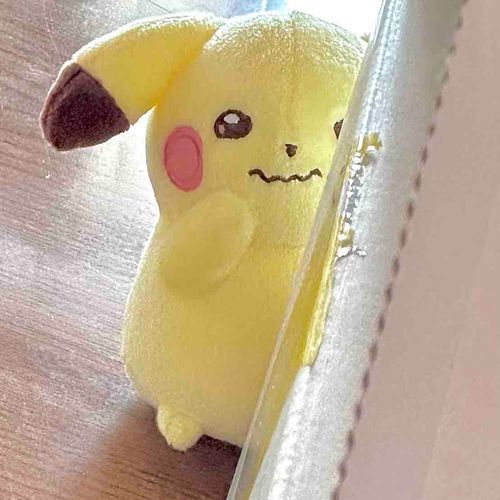 ピ…？⚡️