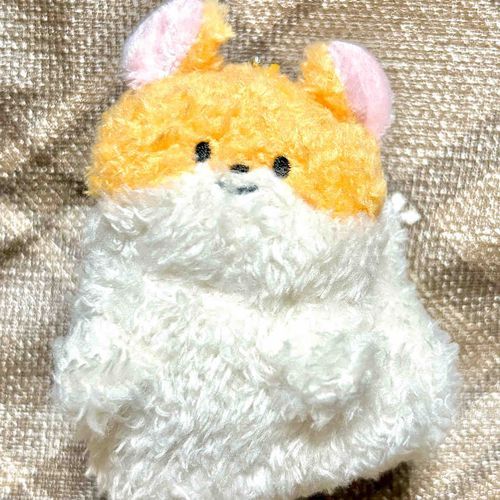 🐹ちらり