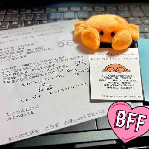ｶﾆﾇｼﾃﾞﾋﾞｭｰ