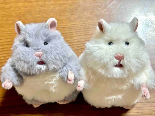🐹！