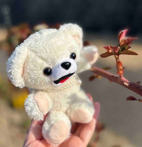薔薇の新芽だな🌱