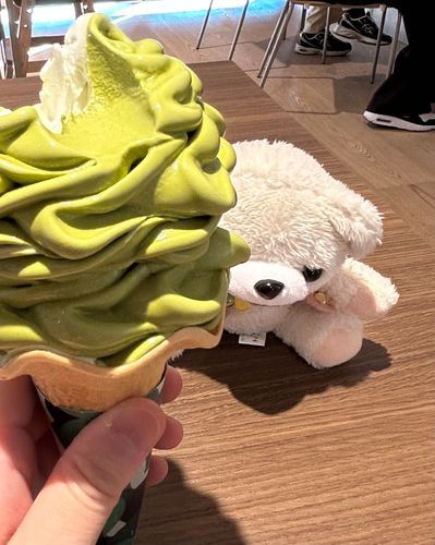 右にスマホ、左手に抹茶ソフトが重たすぎて、ファーとのツーショットきまらなかった