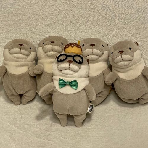今日はご当地カワウソをお迎えしましたァ〜！
名前は「クイカワ」ですヨォ〜！
由来は食いだ〇れ太郎から来ていますゥ〜！
たまに載せますのでぜひ可愛がって下さいネェ〜！