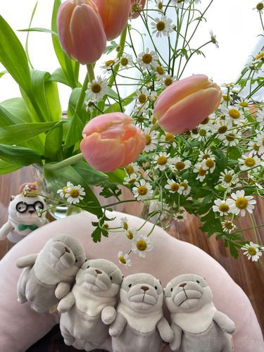 おはようございますゥ〜！
先日買った花の紹介をしていませんでしたが、チューリップとマトリカリアを購入したんですヨォ〜🌷
春ですネェ〜！家に花があると癒されますゥ〜！