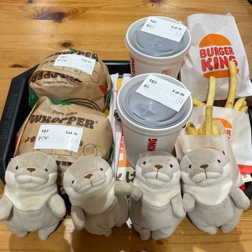 今日はバーガーキングに行ってきましたァ〜🍔