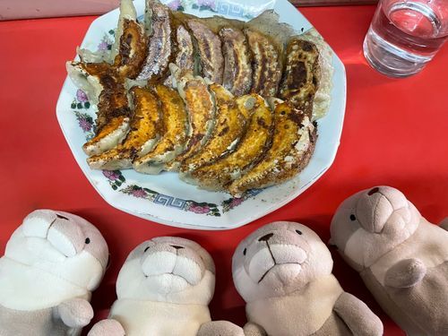 餃子ですヨォ〜！野菜多めで軽い食べ心地で美味しかったですゥ〜！