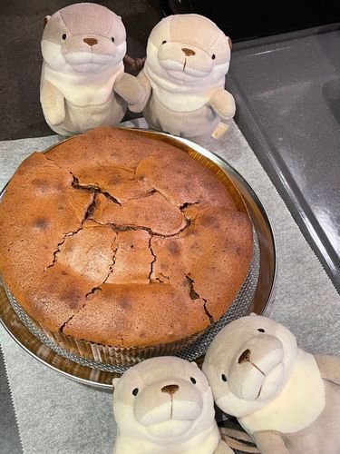 ガトーショコラを焼きましたヨォ〜！
バターの代わりに油で代用してみたんですが、ひび割れがバターの時と比べると独特な雰囲気になりましたァ〜！
油脂の性質でひび割れ方が変わるんでしょうカァ〜？
これだからお菓子作りは楽しいんですよネェ〜！
