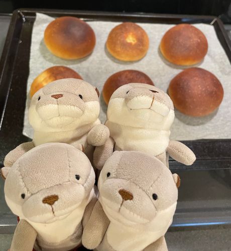 パンを焼きましたヨォ〜
時間と温度守って焼いたのですが焼きすぎましたァ〜！
ホワイトライン出たらより美味しそうに見えたはずなのですが…
これもまた勉強ですネェ〜！
　
　
ちなみに1人でカワーズ4匹持って写真を撮る時はお椀に入れて撮っています。1人で4匹は持てず(1匹1匹違う方向を見てしまうので)試行錯誤の結果 お椀に入れる が最適でした😂