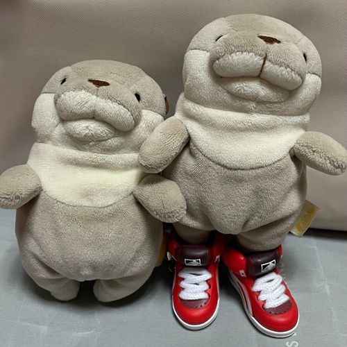 家族のお土産を借りて写真撮影させて頂きましたァ〜！
ス○ラトゥーンの靴らしいですゥ〜！入るかなと思って試したら入って面白かったですヨォ〜！