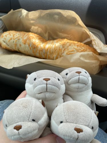 今日はコストコに行ってきましたヨォ〜！
プルコギベイクを食べましたァ〜！