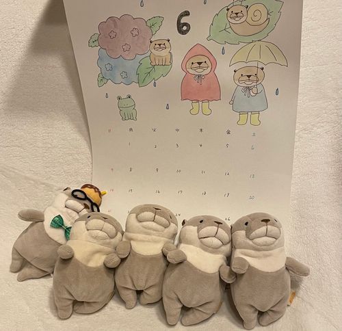 今日から6月ですネェ〜！
あっという間に今年の半分ですヨォ