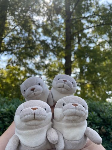 日光浴は大事ですネェ〜！！
木漏れ日が良かったですヨォ〜！
ただし散歩する時は熱中症にはじゅうぶん気をつけてくださいネェ〜