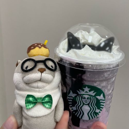 ス◯ーバックスコーヒーさんへ行ってきましたヨォ〜！
猫のフラペチーノを飲みましたァ〜！