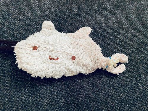 さかにゃー「オッケー」できる
