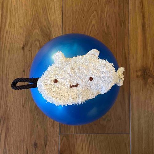 乗れた