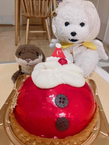 サンタさんケーキです！🎄
中はイチゴのティラミスです！🍓