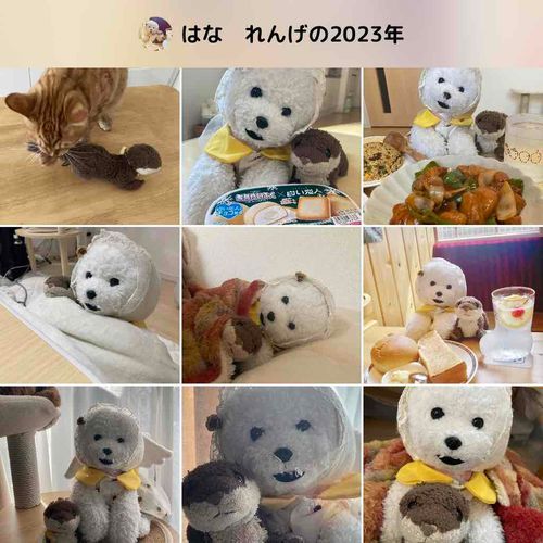 今年はふわもこデビューの年でした！
みなさんに出会えてしあわせです🎶
来年もいっぱいふわもこします🎶