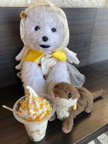 おひさしぶりの投稿です💦
この前食べたソフトクリームです！🍦
チョコレートのカラフルなつぶつぶ大好きです！