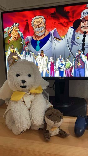 ワンピース見て勉強中です！