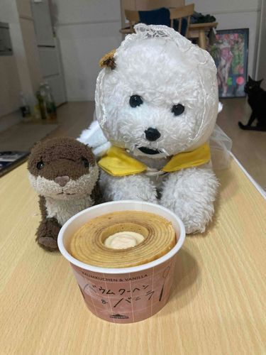 シャトレーゼに行きました！いっぱいアイスが売ってて、夢の国でした♪
お気に入りは、さくらんぼとチョコのモナカです🍒🍫