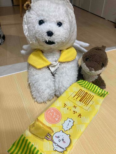 ポロショコラはじめてたべます！
さすまたのフォーク付きでうれしいです🎵