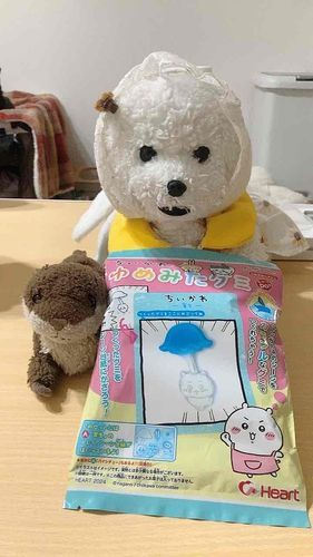つくります！！
がんばるぞ！！