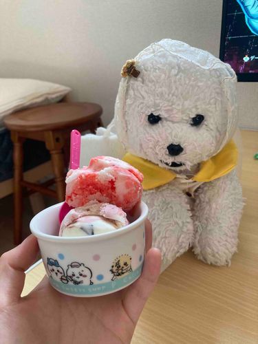 お久しぶりです！
さいきんバタバタしててこうしんできなかったですが、元気です！きょうはサーティーワンに行ってきました！暑かったです💦