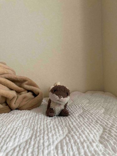 少しまえにあたらしいおうちにおひっこししました！
自然がいっぱいでいいところです⭐️