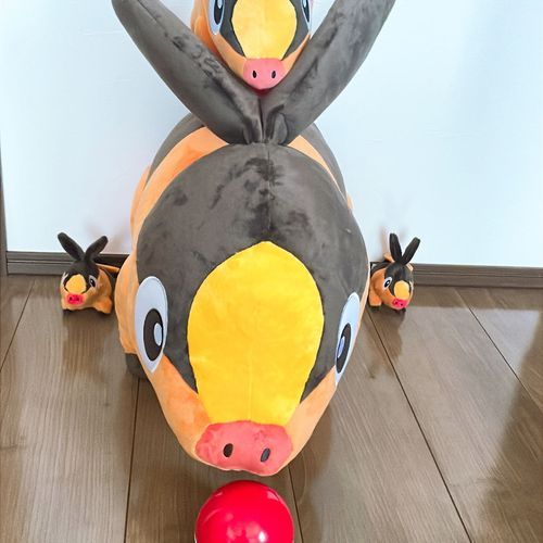 初投稿ブーさん4兄弟🐷🔥