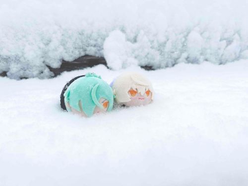 あきたくんの他に5ひきのもちと、あと4にんのぬいっこがいます   みんなかわいいね