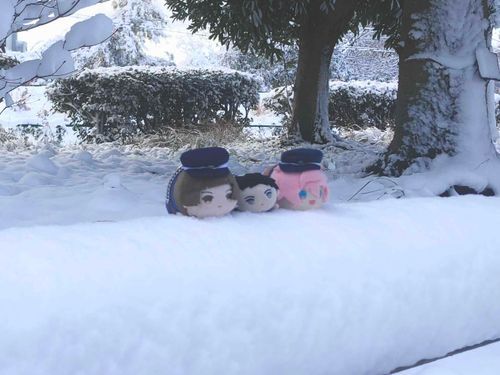 他の兄弟たちにも早く会いたいです！