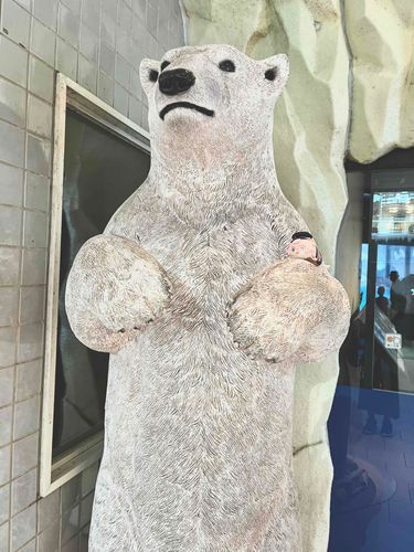 主君との旅行先で仲よくなったホッキョクグマさんです
目線がとっても高かったです！
ぼくもいつか、これくらい大きくなれるでしょうか
