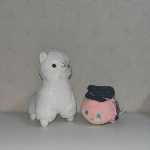 今日紹介するおともだちは、ふわふわアルパカのとむらさんです
姿勢がとっても良くて、りりしいお顔もかっこいいです！

背中にのせてもらうにはぼくは少し大きすぎました……。