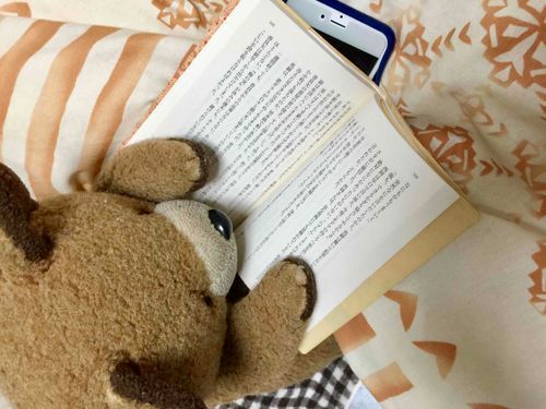 勉強中…

#勤勉　#読書　#知識
