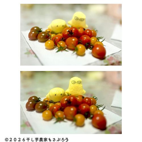 今日採れた山盛りトマトをしげしげと見つめる干し芋妖精と、こちらの視線に気付いた干し芋妖精