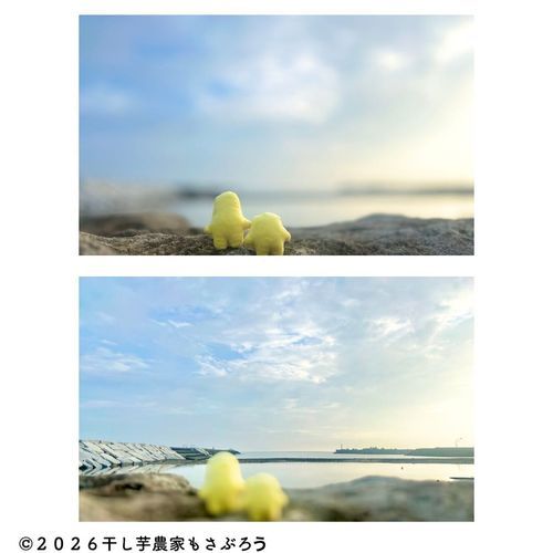 海に行きました