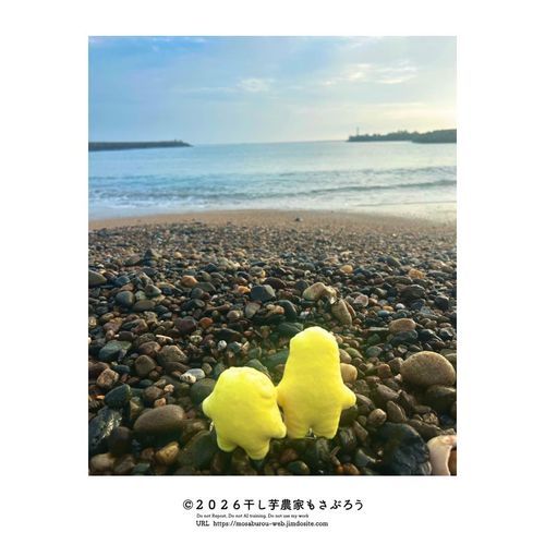 爽やかな海風！